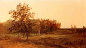 Autumn Landscape